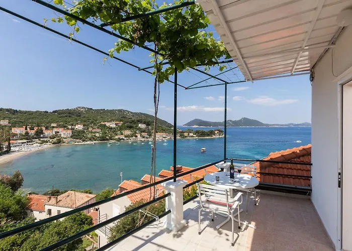 Apartmán Miskovic *