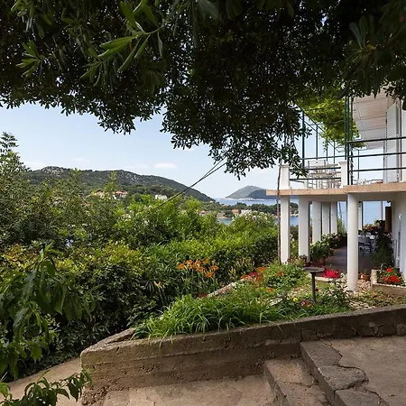 Miskovic Lejlighed *