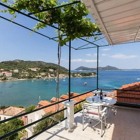 Apartment Miskovic *